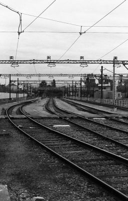 scan887.jpg