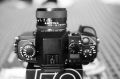Canon_1Ds-0230.jpg