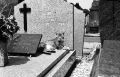 img041.jpg