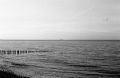 img685.jpg