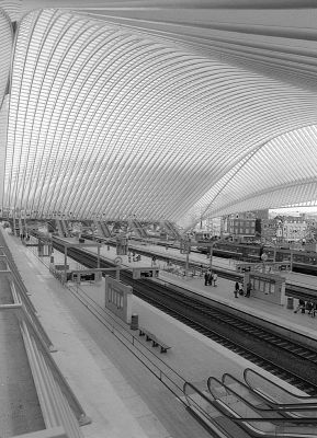 Gare des Guillemins 4
