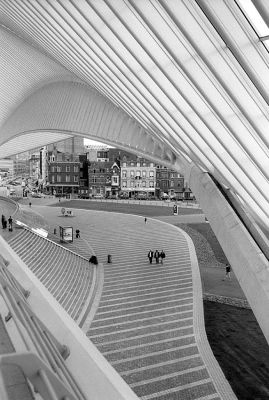 Gare des Guillemins 1
