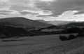 Scan-091031-0001B.jpg