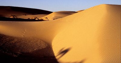 ombres
