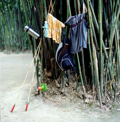 cheng 1
