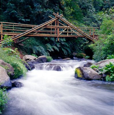 pont
