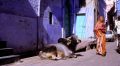 North-India-154.jpg