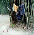 chengdu-8.jpg