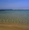 test1-redim-800pix.jpg