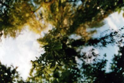 flou zenitaar 16/2.8
