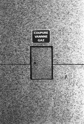 vannne.jpg
