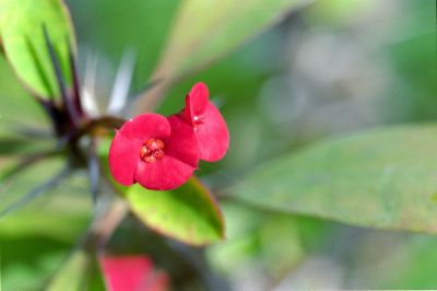 02_Fuji_160C_26.jpg