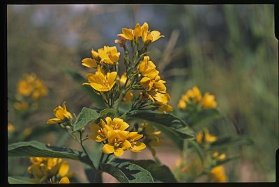07_Provia100F_28.jpg