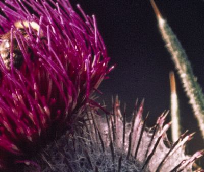 08_Velvia50_031.jpg