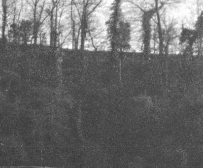 Minolta_X700_Tmax100_ID11_3321.jpg