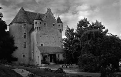 trix_rodinal_sd_manoir.jpg