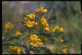 07_Provia100F_28.jpg