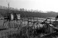Minolta_X700_Tmax100_ID11_332_redimensionner.jpg