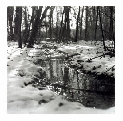 lumière hivernale
Semflex Semi oto 3,5B
TX 400 dans Ilfosol 3 1+9
Bois de Morval (Silly), février 2010
