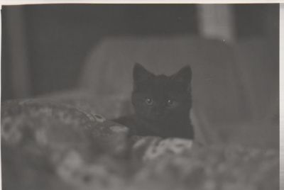phot0o.jpg
