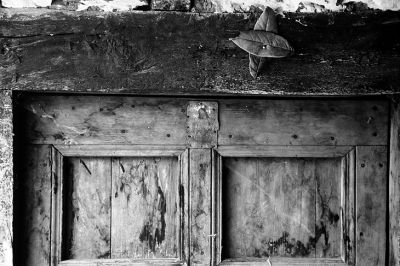 Contax IIa - Carl Zeiss Sonnar 50mm f/1,5 - Fuji Acros & Xtol
