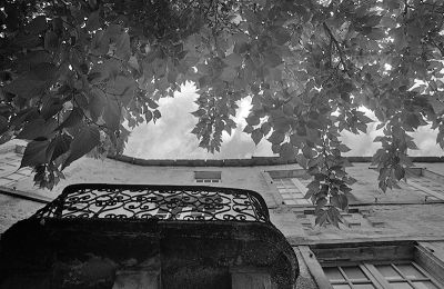 Contax IIa - Zeiss Biogon 21mm f/4,5 - Fuji Neopan 400 & Xtol
