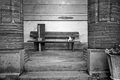 Yashica T5 - Ilford HP5+ & LC29
