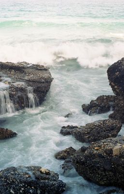 Contax Aria - Carl Zeiss Planar 50mm f/1,4 - Ektar 100
