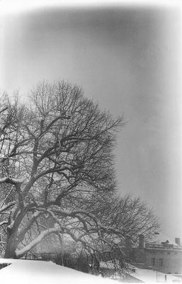 Zeiss Ikon Cocarette, Tessar 10,5cm f/4,5 (1929) - Scan de tirage
