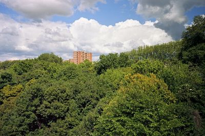 Yashica T5 & Kodak Ektar
