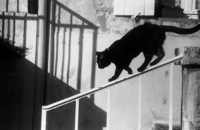 Zorki 4 - Jupiter 8 - Ilford HP5+ & Xtol
