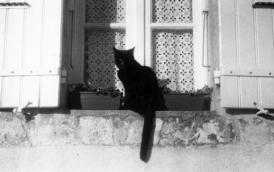 Zorki 4 - Jupiter 8 - Ilford HP5+ & Xtol
