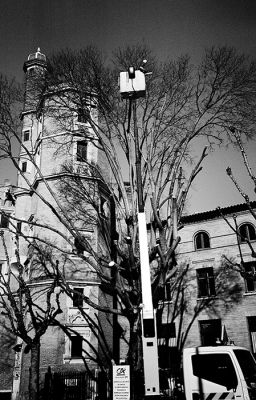 Yashica T5 - Rollei Retro 80S - Caffenol CL stand dev
