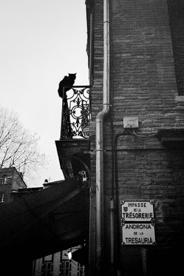 Yashica T5 - Rollei Retro 80S - Caffenol C-L stand dev
