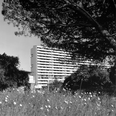 Bronica SQ-B - Zenzanon PS 80mm - Rollei Retro 80S & Rodinal Special/Studional
