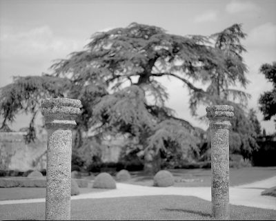 parc
