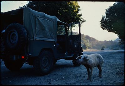 Mots-clés: kodachrome