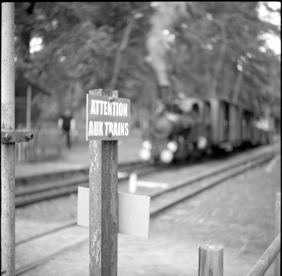 Mamiya_6_800f32C5.jpg