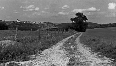 paysage à fujicator
