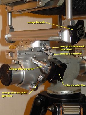 Sinar Norma
