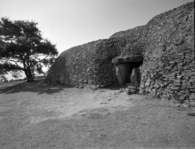 gavriniis038R.jpg