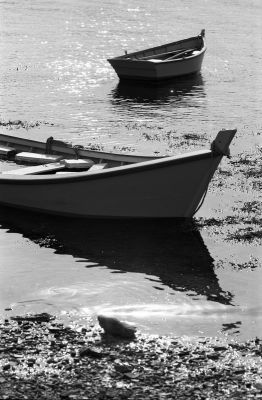 golfe du Morbihan
