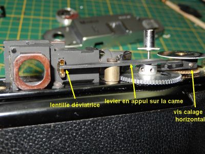 lentillle_dev_.JPG