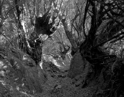 chemin Corse
