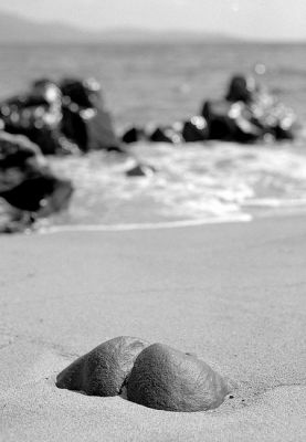 rochers
