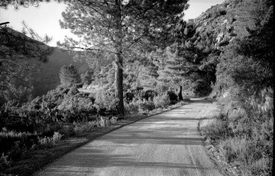 corse
