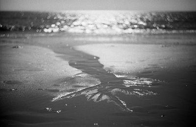 à la mer
