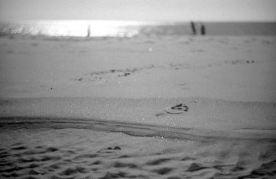 a la mer
