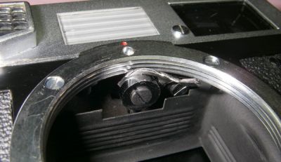 Canon 7
