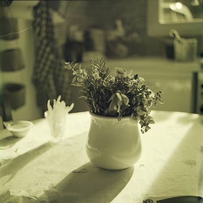 Test Vericolor de 1987 dans le Caffenol C
